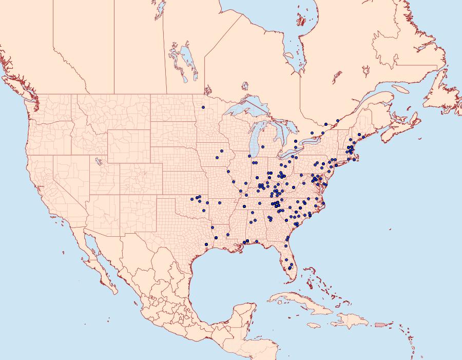 Distribution Data for Virbia opella