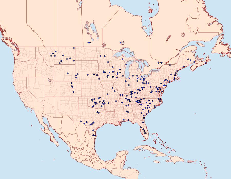 Distribution Data for Virbia aurantiaca