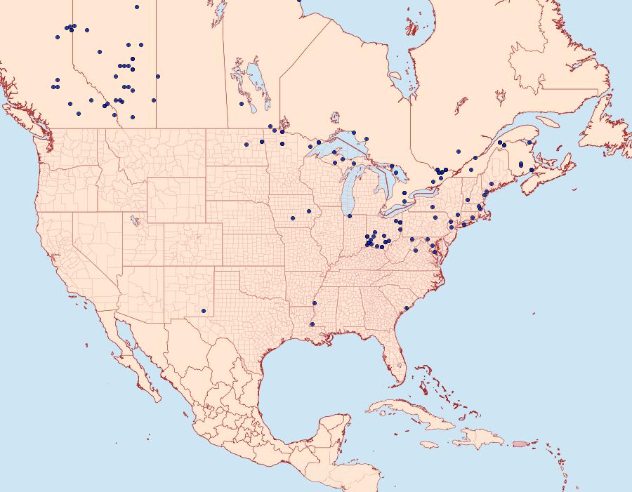 Distribution Data for Virbia ferruginosa