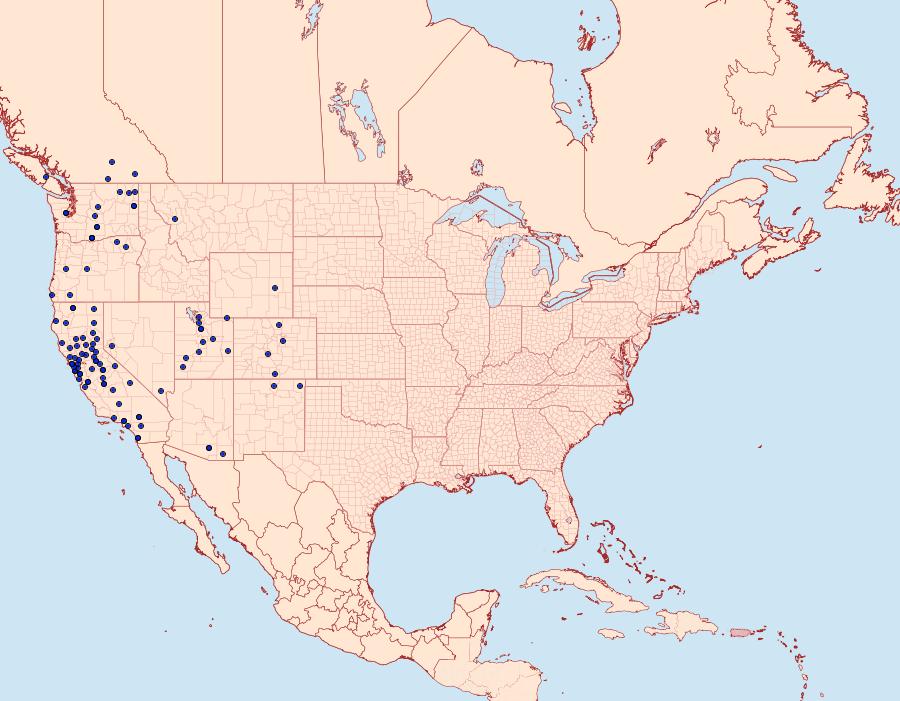 Distribution Data for Leptarctia californiae