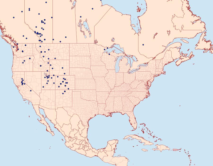 Distribution Data for Arctia plantaginis