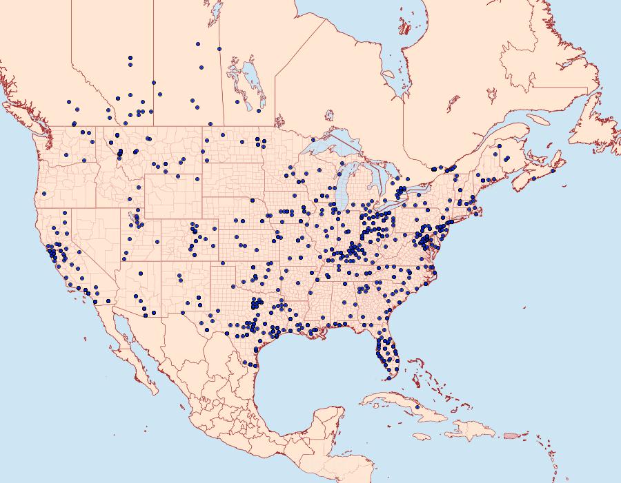 Distribution Data for Estigmene acrea