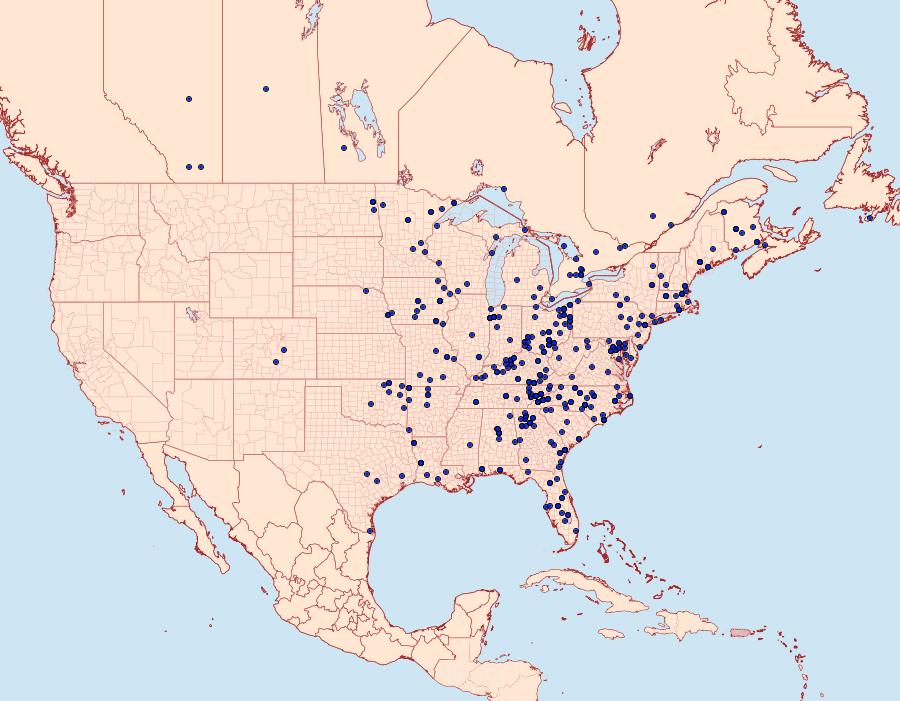 Distribution Data for Spilosoma congrua