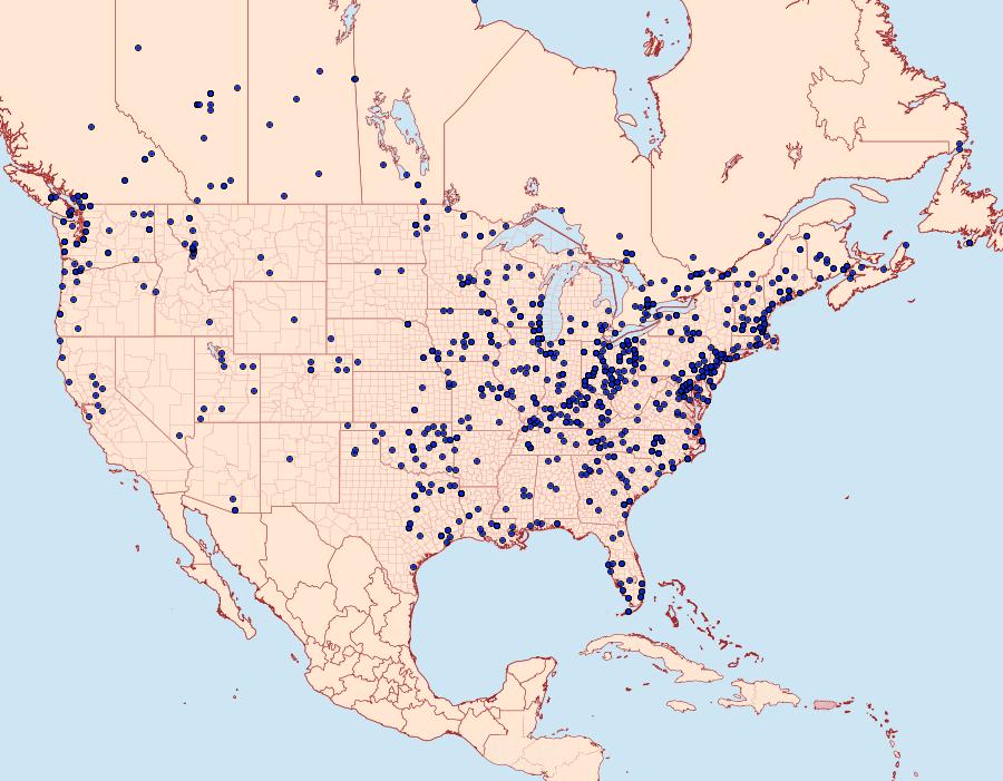 Distribution Data for Spilosoma virginica