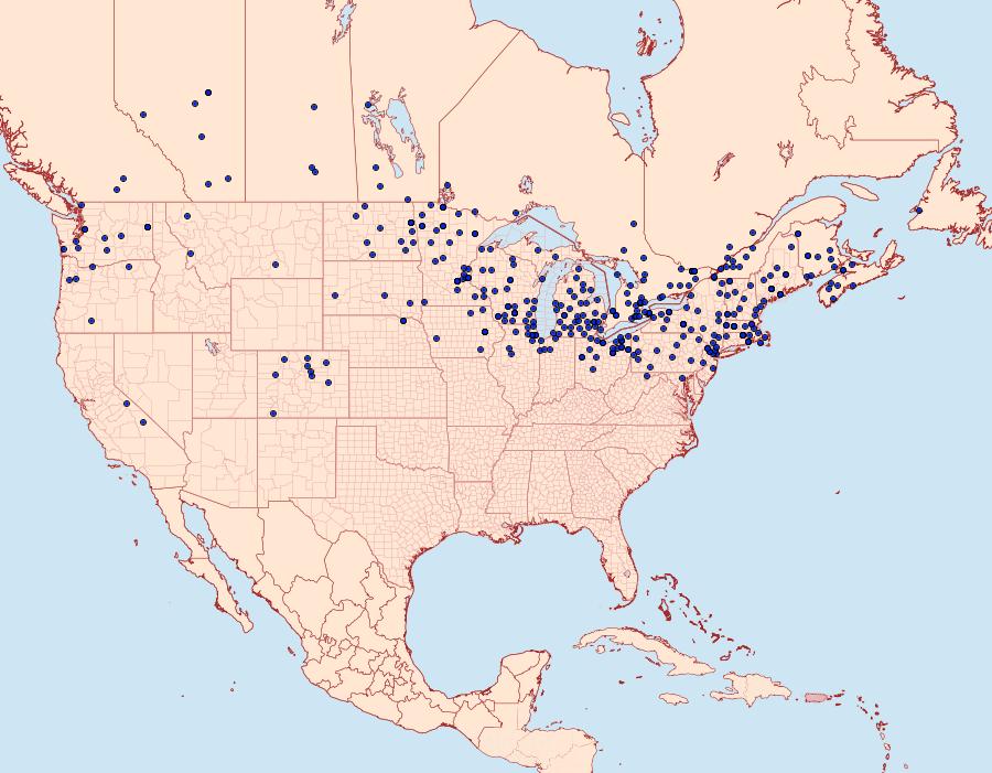 Distribution Data for Phragmatobia fuliginosa