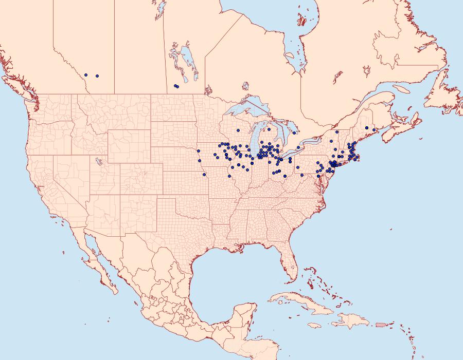 Distribution Data for Phragmatobia lineata