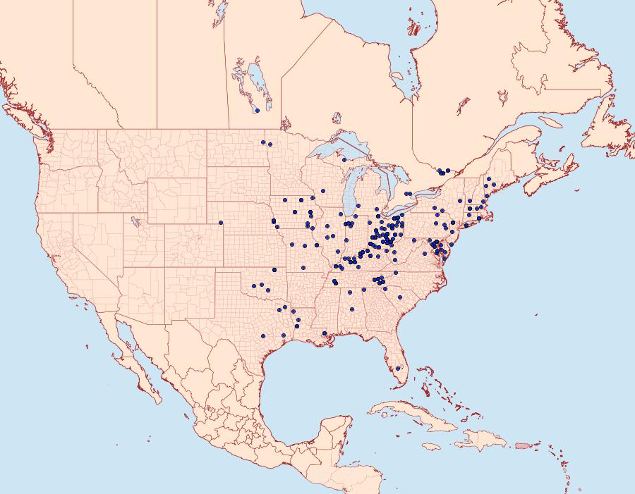 Distribution Data for Apantesis nais