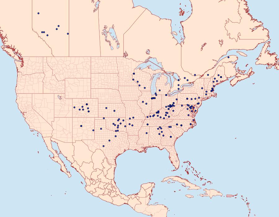 Distribution Data for Apantesis figurata