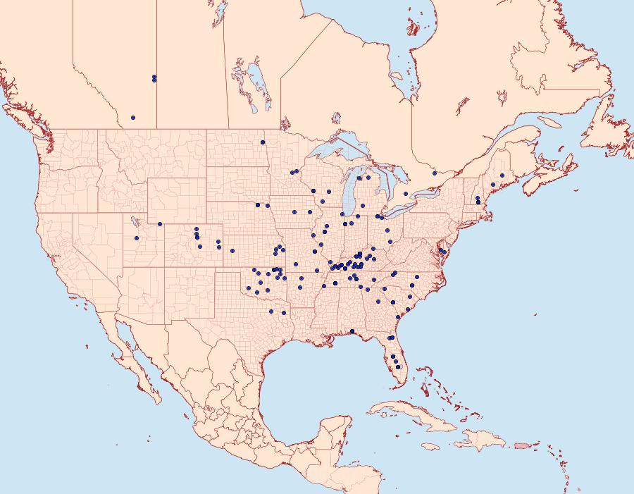 Distribution Data for Apantesis phyllira