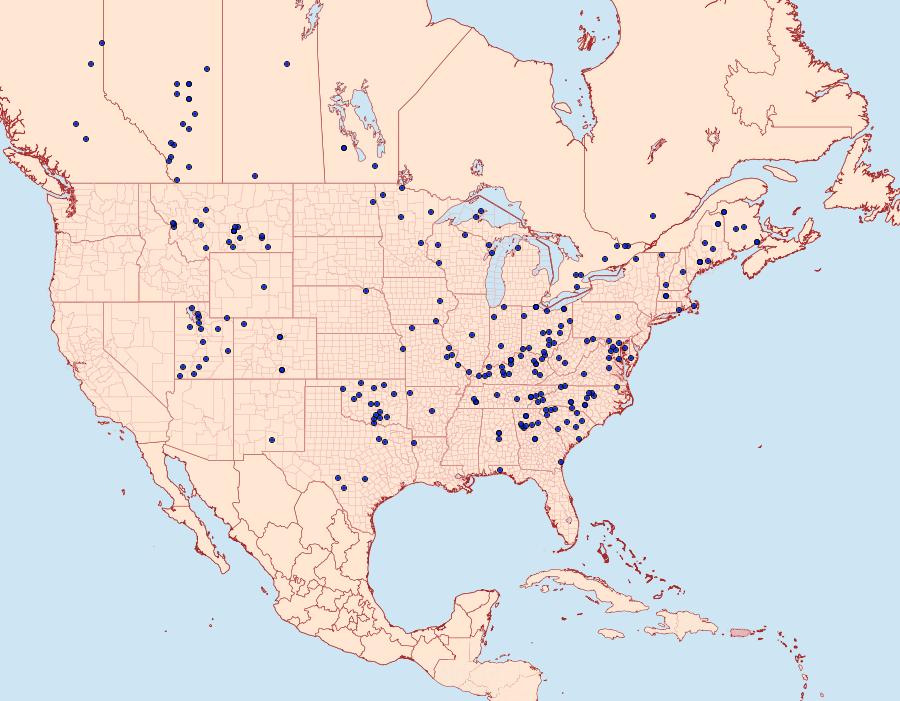 Distribution Data for Apantesis parthenice