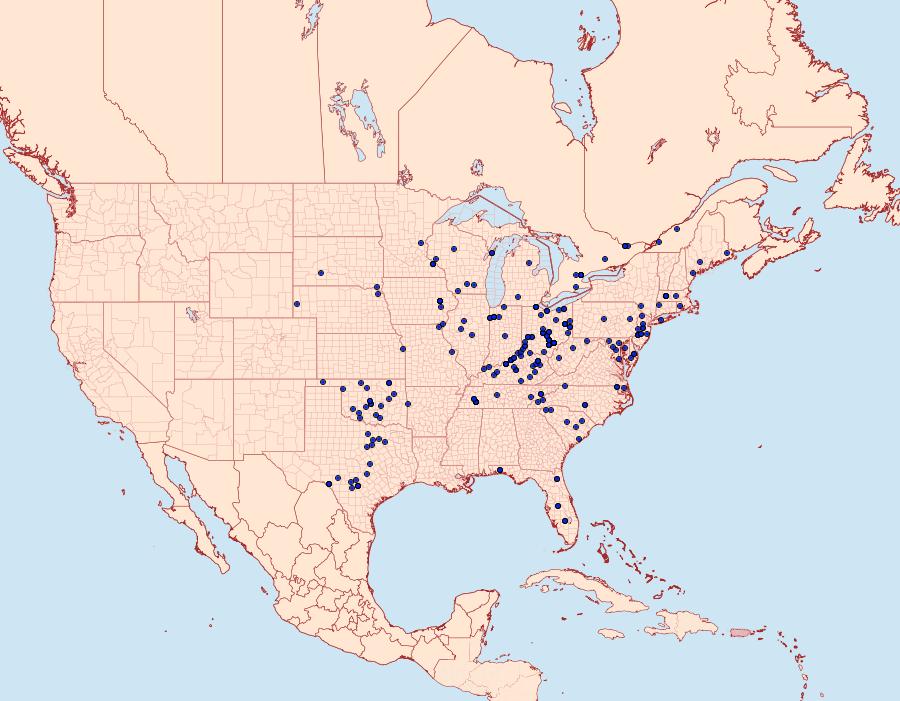 Distribution Data for Apantesis arge