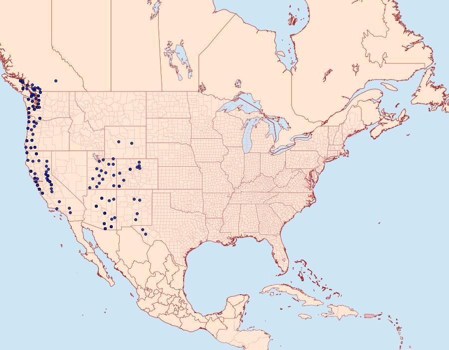 Distribution Data for Lophocampa argentata