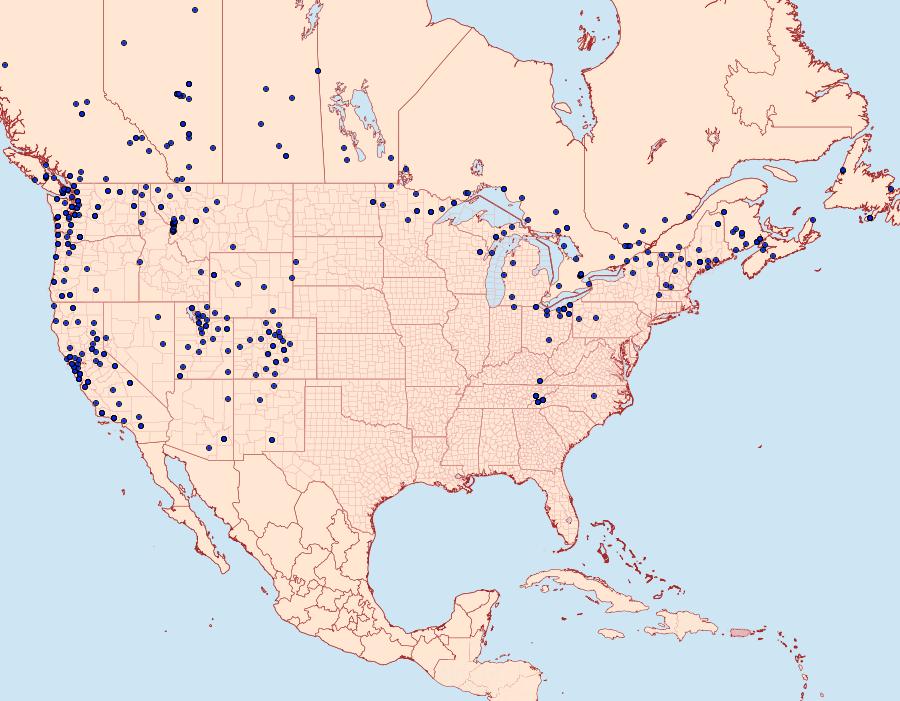 Distribution Data for Lophocampa maculata