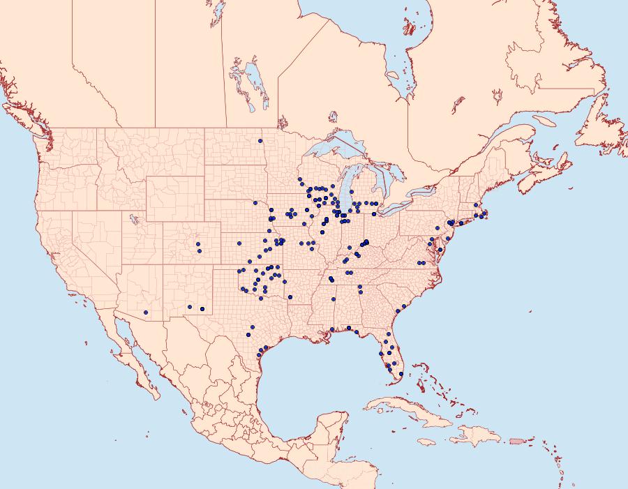 Distribution Data for Cycnia collaris