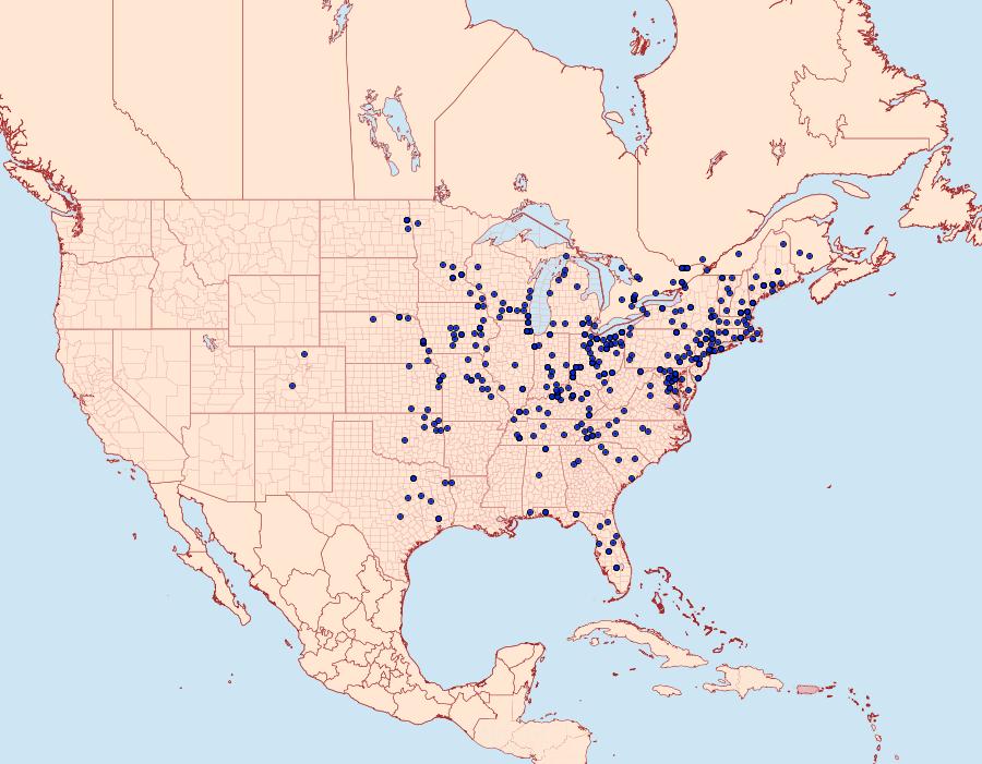 Distribution Data for Euchaetes egle