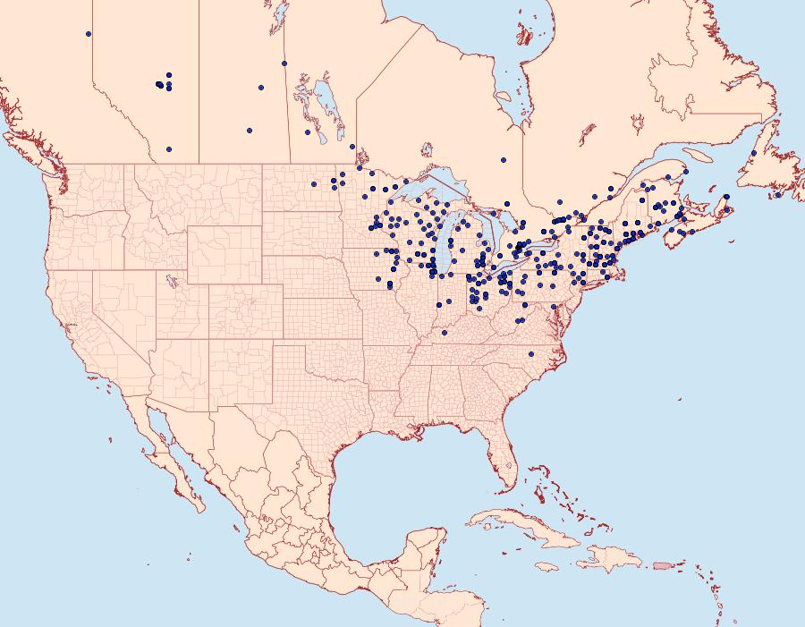 Distribution Data for Ctenucha virginica