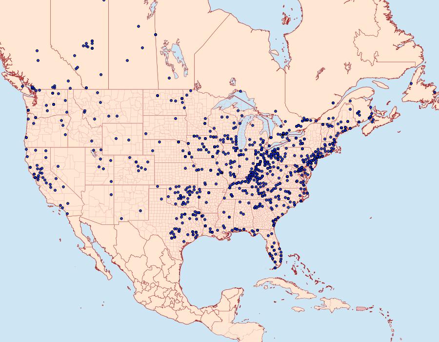 Distribution Data for Cisseps fulvicollis