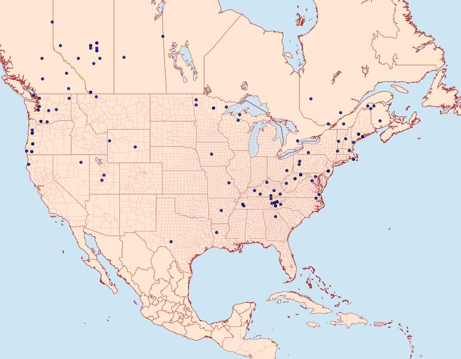 Distribution Data for Dasychira vagans