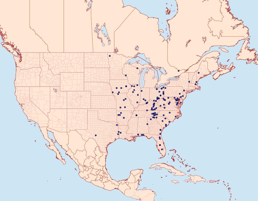 Distribution Data for Dasychira basiflava