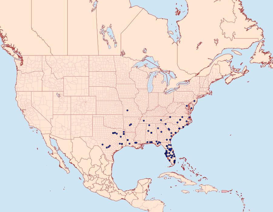 Distribution Data for Dasychira meridionalis