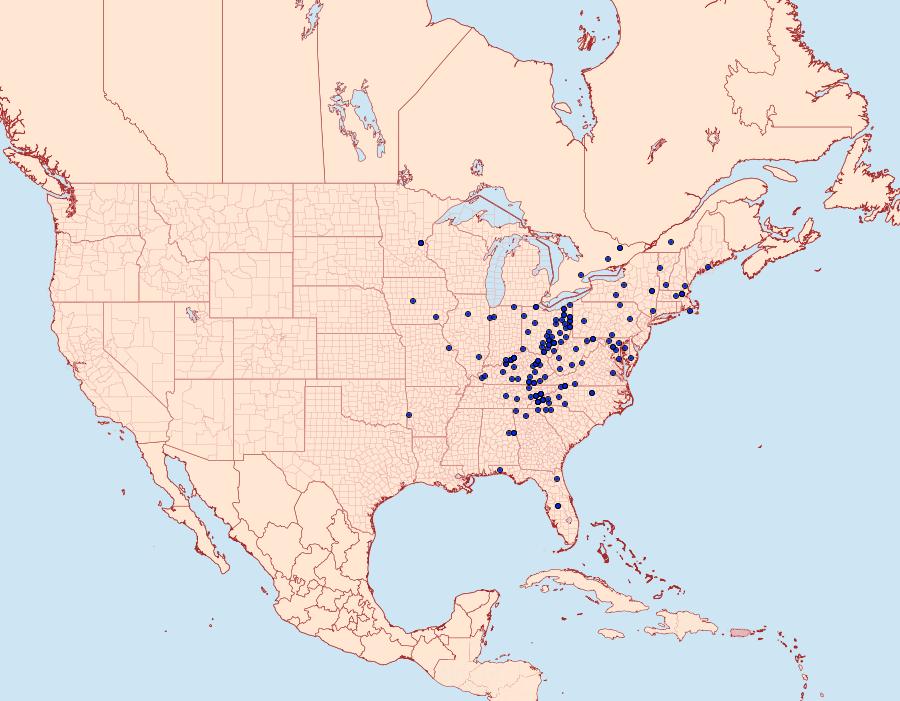 Distribution Data for Dasychira obliquata