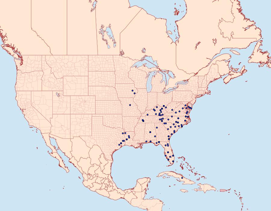 Distribution Data for Dasychira manto