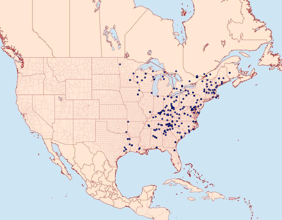 Distribution Data for Orgyia definita