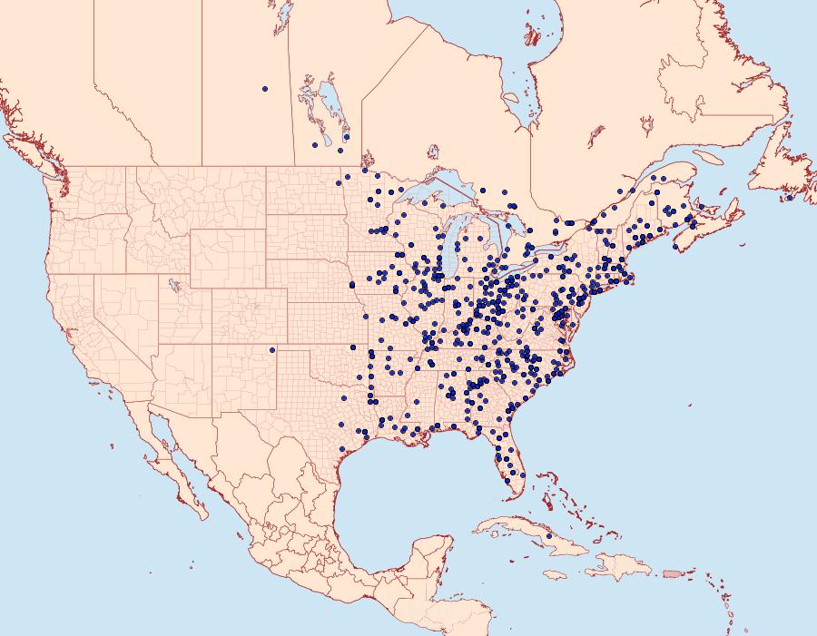 Distribution Data for Orgyia leucostigma