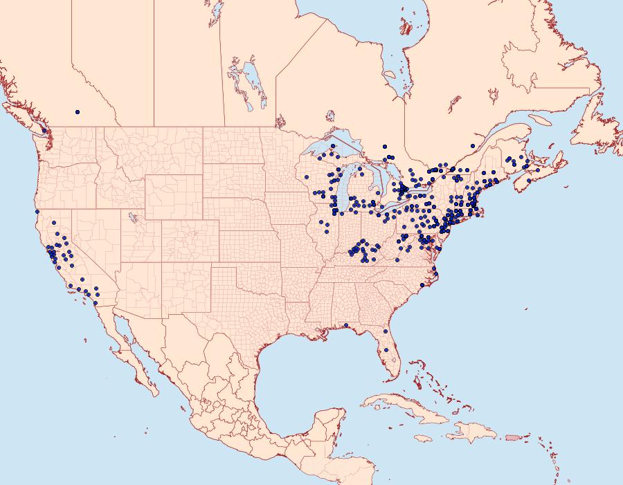 Distribution Data for Lymantria dispar