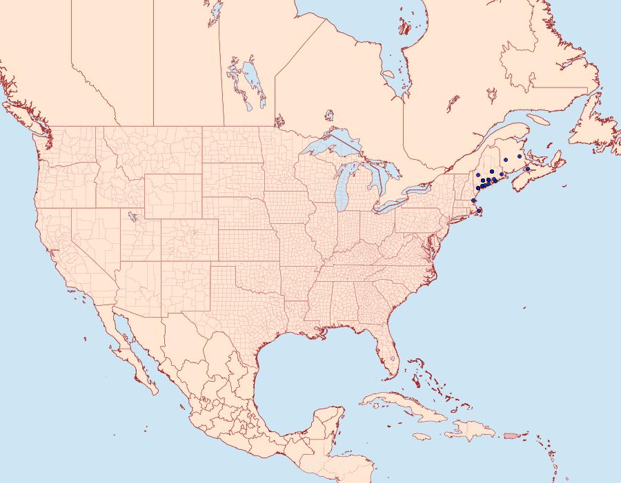 Distribution Data for Euproctis chrysorrhoea