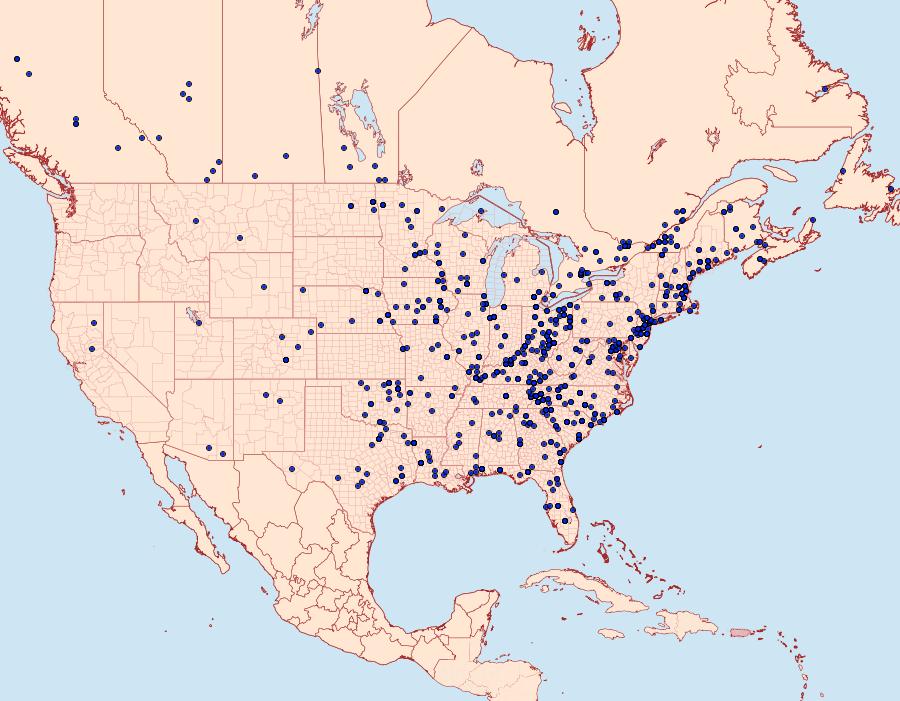 Distribution Data for Idia aemula