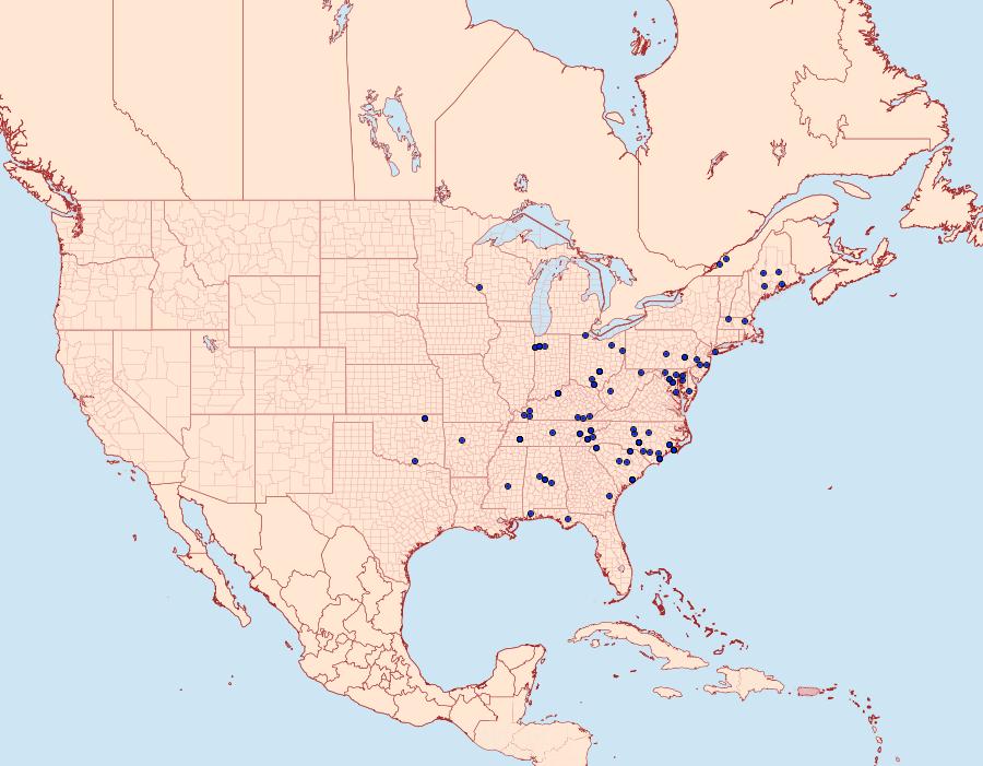 Distribution Data for Idia julia