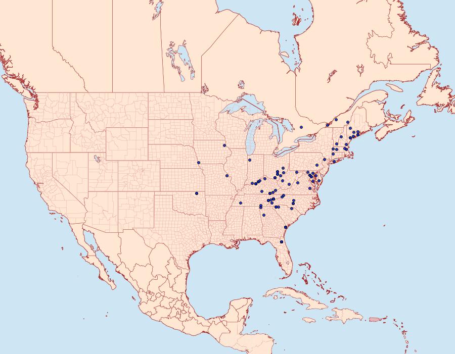 Distribution Data for Idia scobialis