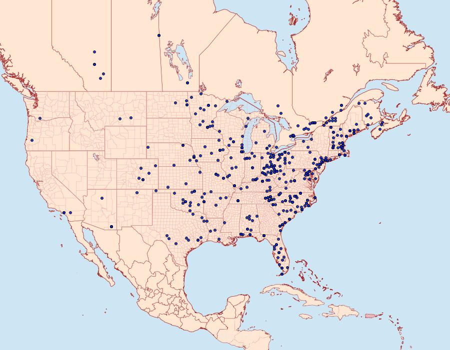 Distribution Data for Idia lubricalis