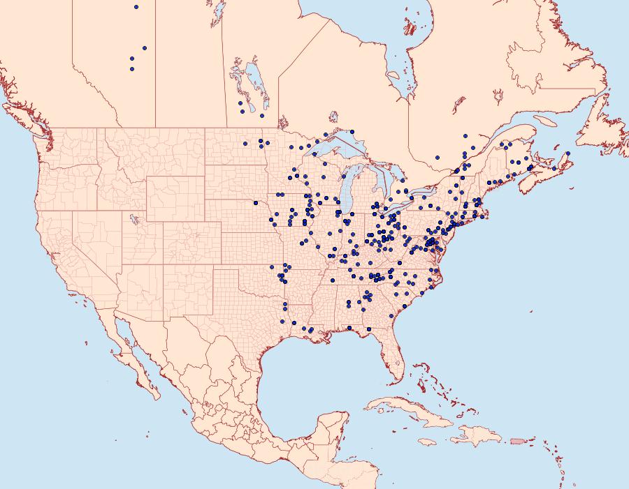 Distribution Data for Phalaenophana pyramusalis