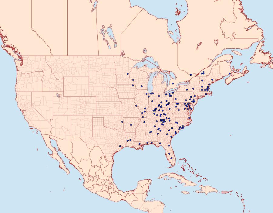 Distribution Data for Zanclognatha lituralis