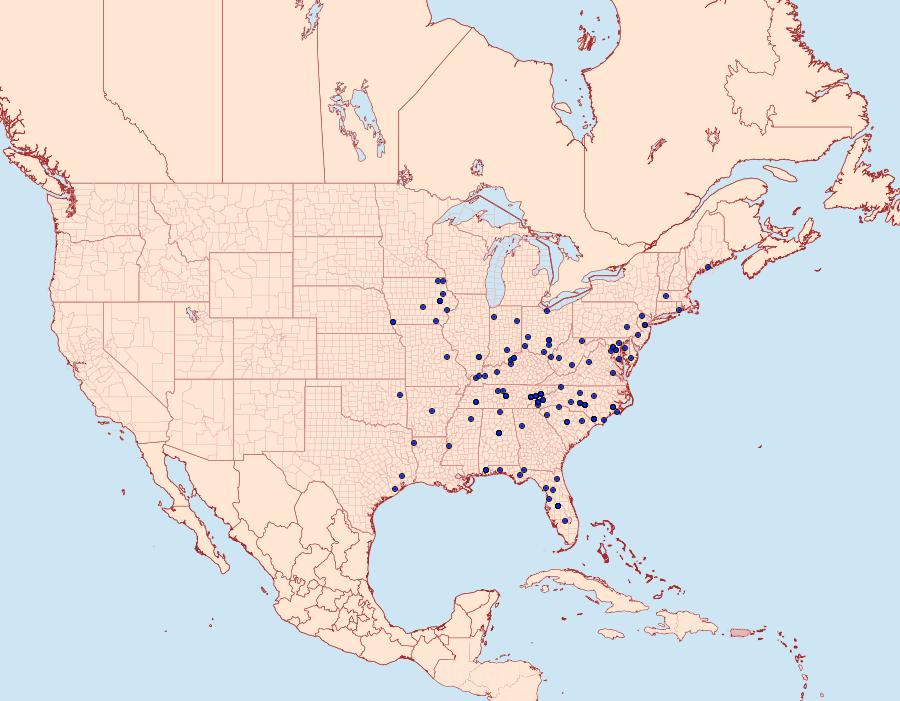 Distribution Data for Zanclognatha obscuripennis