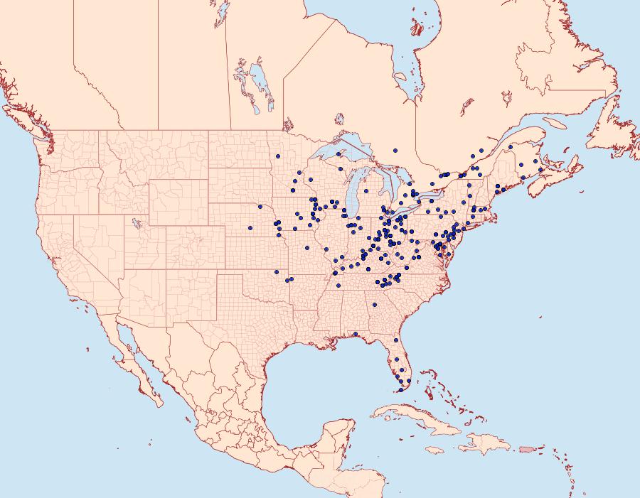 Distribution Data for Zanclognatha pedipilalis