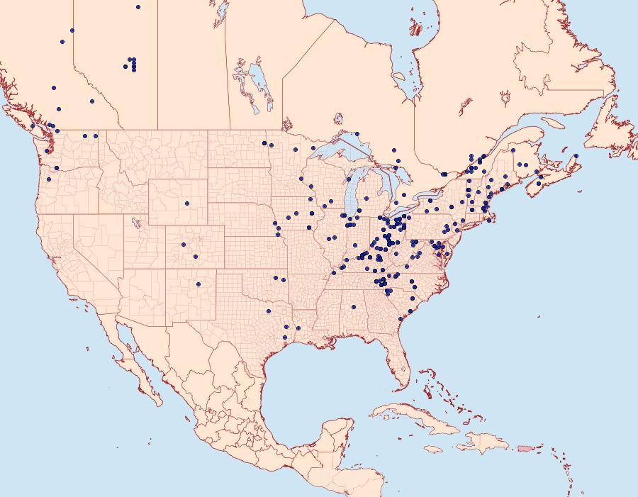 Distribution Data for Zanclognatha jacchusalis