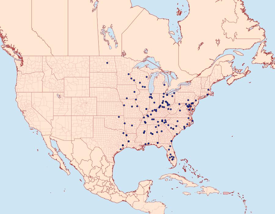 Distribution Data for Macrochilo hypocritalis