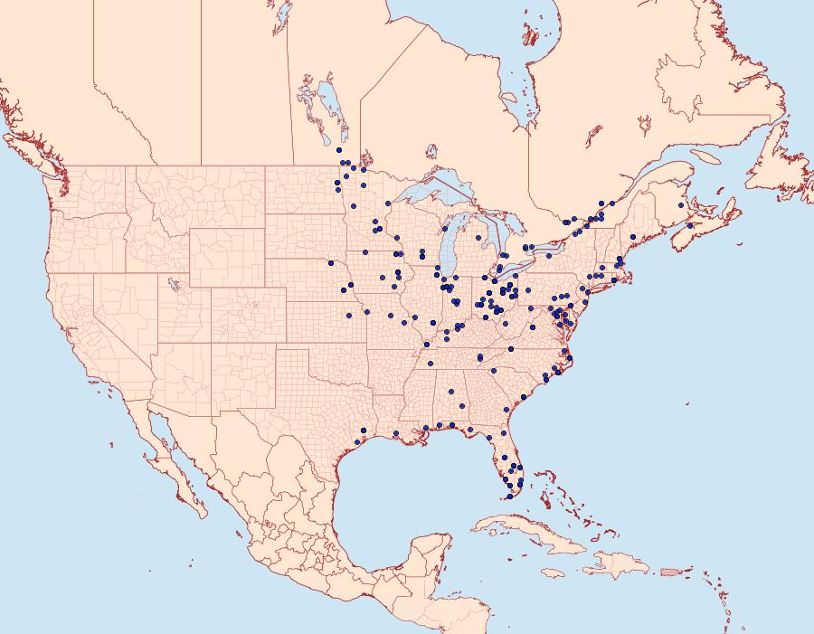 Distribution Data for Macrochilo orciferalis