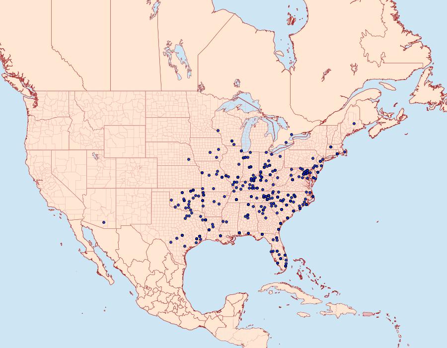 Distribution Data for Tetanolita mynesalis