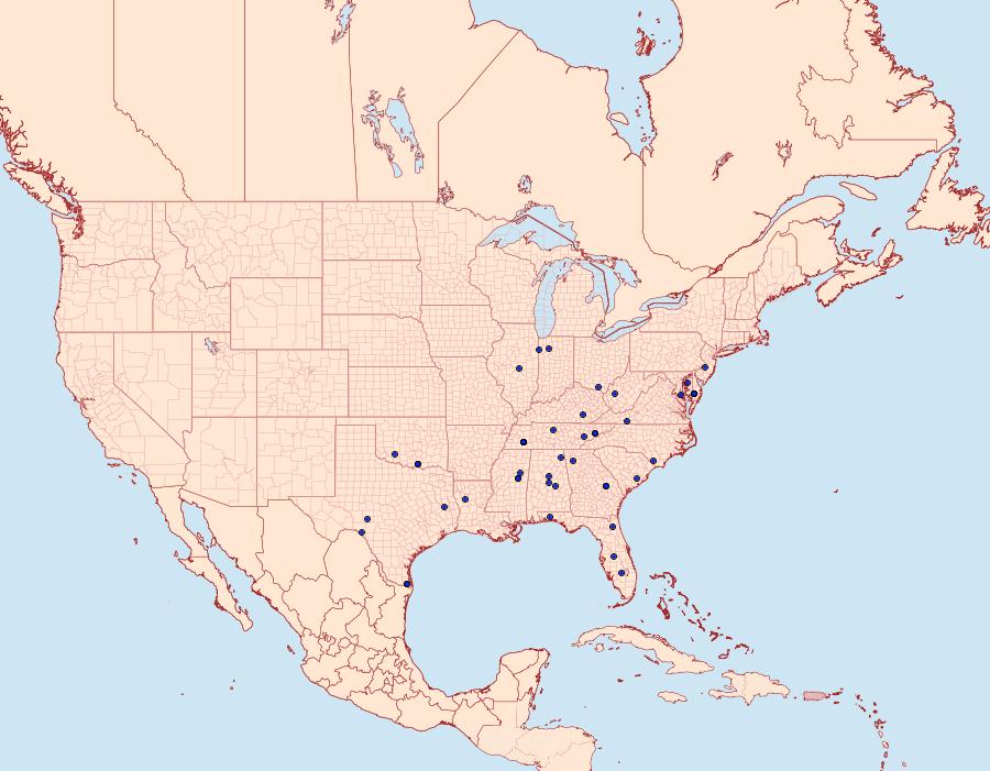 Distribution Data for Bleptina sangamonia