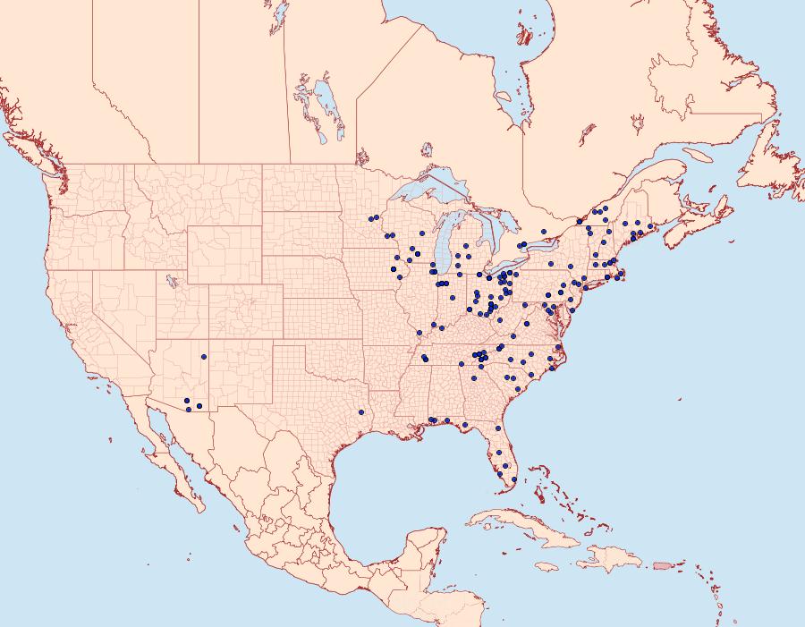 Distribution Data for Renia factiosalis