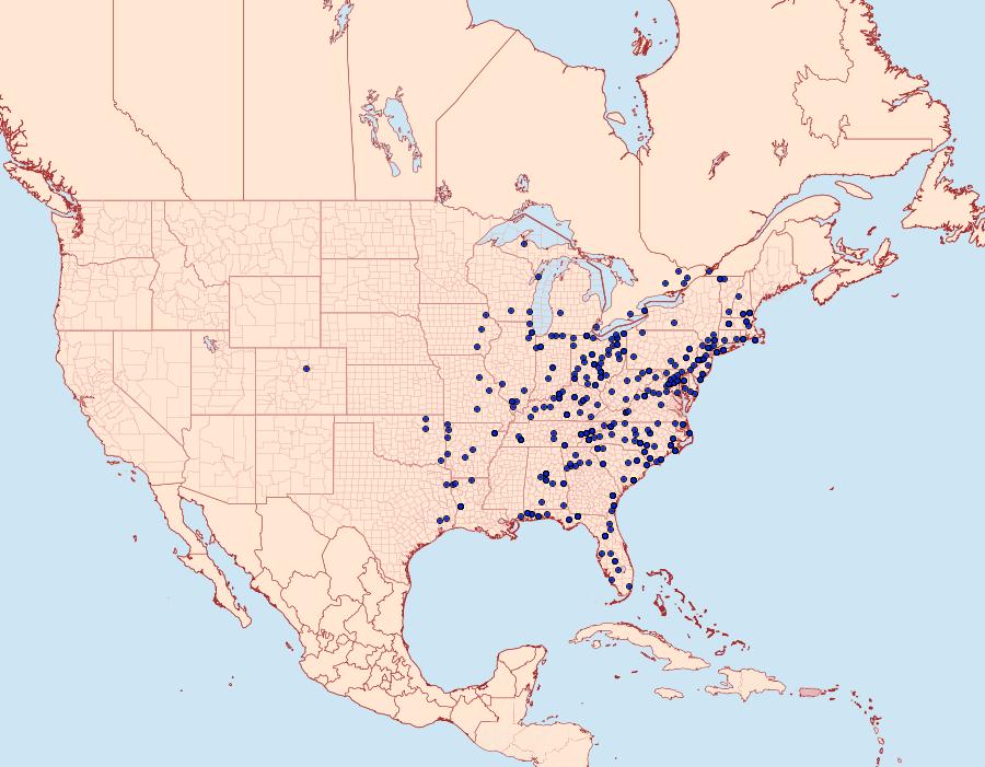 Distribution Data for Renia discoloralis