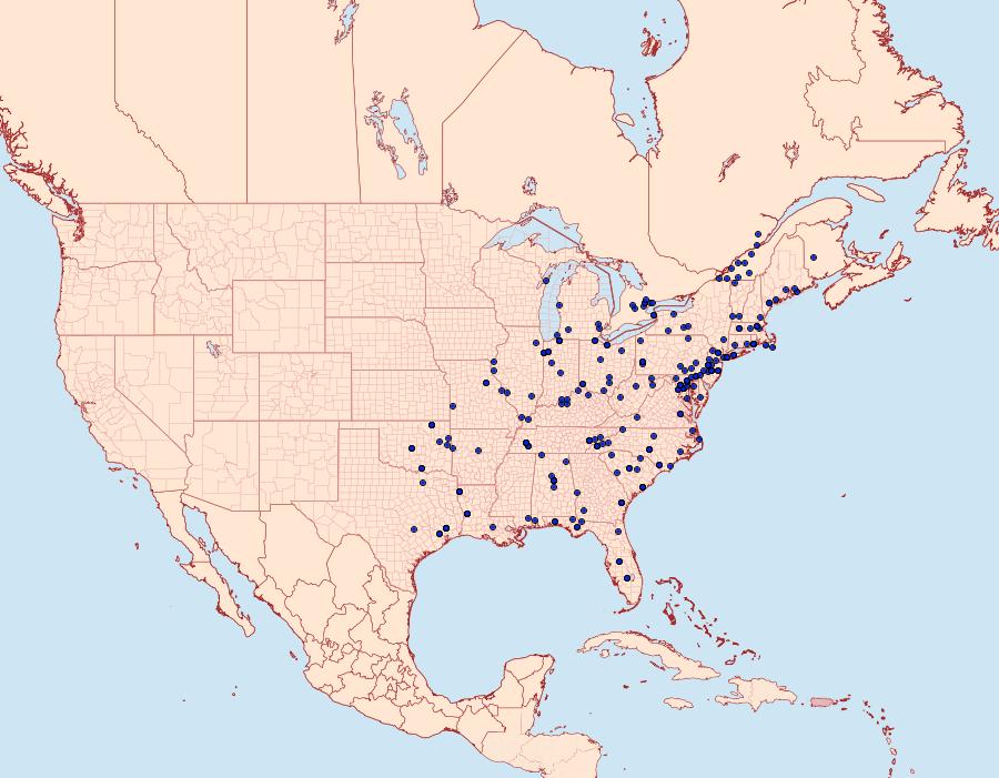 Distribution Data for Renia adspergillus