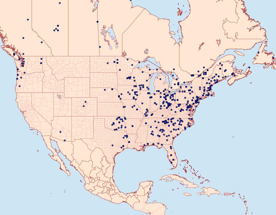 Distribution Data for Palthis angulalis