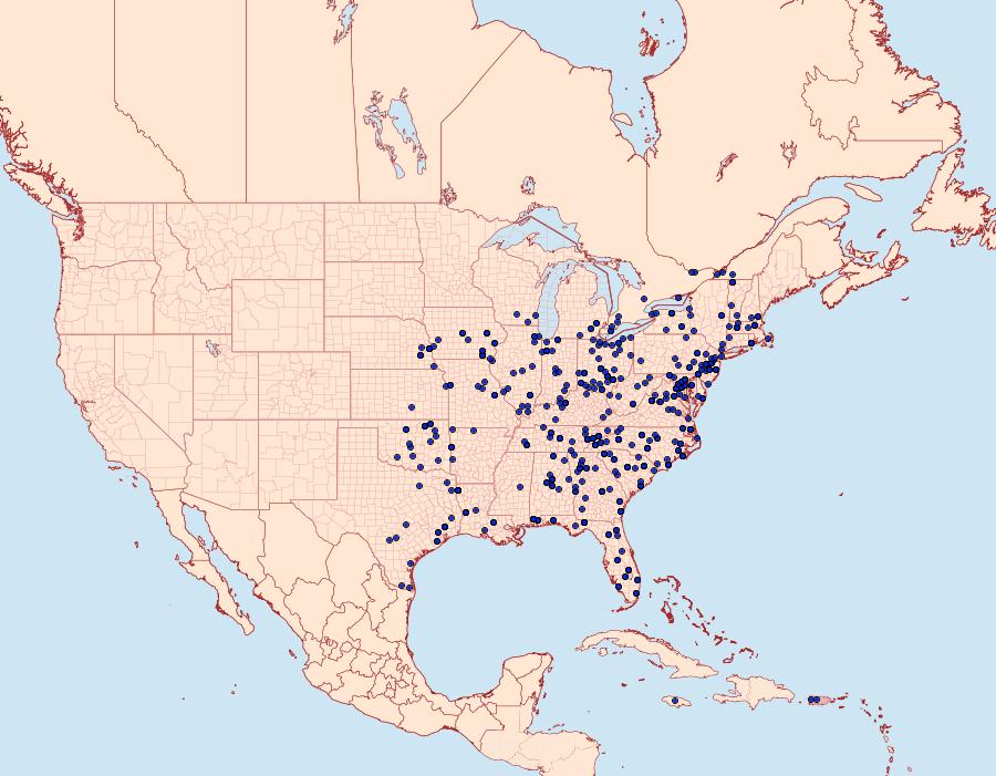 Distribution Data for Palthis asopialis