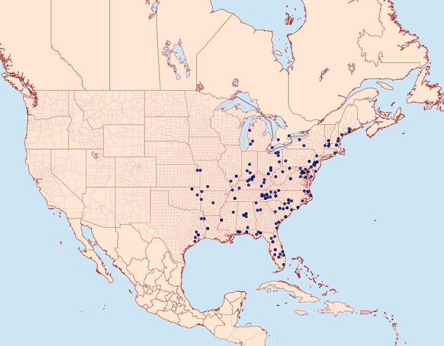 Distribution Data for Redectis vitrea