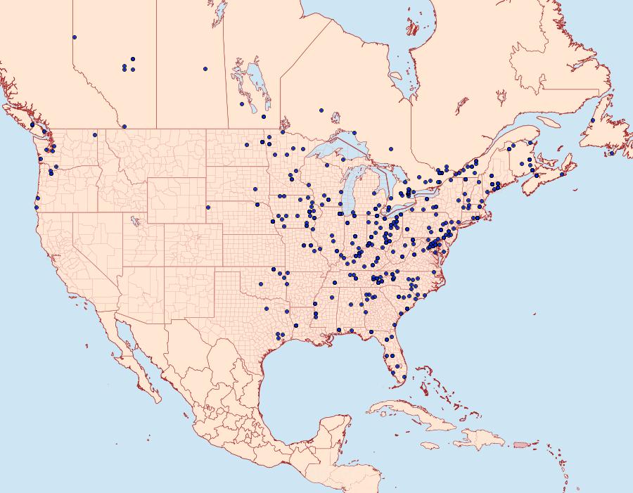 Distribution Data for Rivula propinqualis